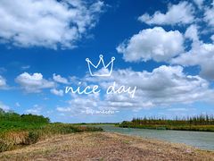 -春花秋色城市公园