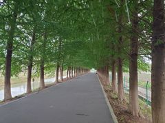 -嘉北郊野公园