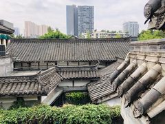 -小龙翻大江文化火锅(宽窄店)