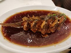 -金春禧(世茂国际广场店)