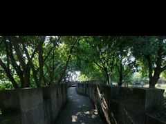 -重庆市江北嘴中央商务区中央公园