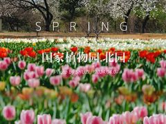 -国家植物园