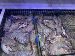 -开海·红岛海鲜虾水饺(石老人店)