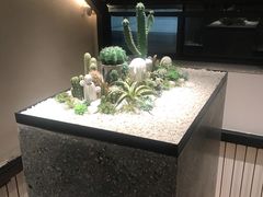 -大树餐厅(红旗街万达店)