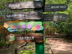-江苏三台山国家森林公园