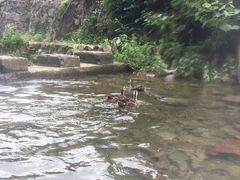 -藏龙百瀑漂流