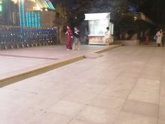 -武汉知音号