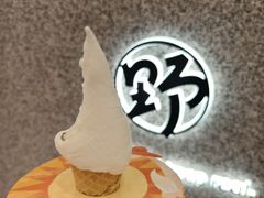-野人先生Gelato(上海长宁龙之梦店)