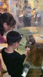 -Zoolung Zoolung动物主题公园(海信广场店)