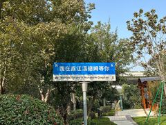 -青岛鑫江温德姆酒店