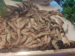 -春天烤肉自助餐厅(南内环店)