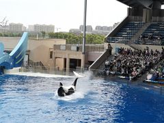 -上海海昌海洋公园