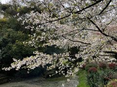-宝界山林公园