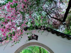 -深圳国际园林花卉博览园