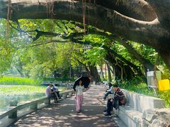 -荔湾湖公园