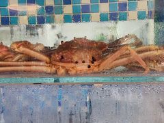 -碗中海·蒸汽海鲜·桑拿鸡(岭南天地店)