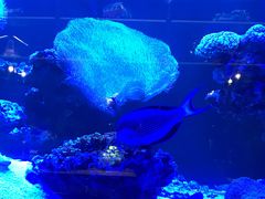 -暹罗酒肆泰餐厅酒吧