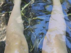 -三亚珠江南田温泉度假区