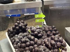 -茶百道(SKLP新光里+店)