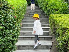 -五通灯塔公园
