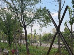 -普者黑风景区-青龙山
