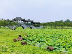 -上海海湾国家森林公园