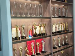 -索菲亚衣柜橱柜家具全屋定制(十里河居然之家店)