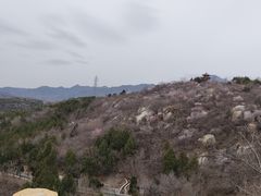 -白水寺森林公园