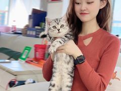 -lincat·猫舍(广州店)