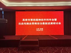 -印象高密·凤都国际大酒店