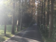 -上海怡沁园度假酒店
