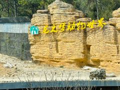 -太湖龙之梦