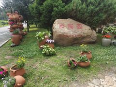 -沈阳植物园