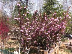 iphone_upload_pic-山东大厦