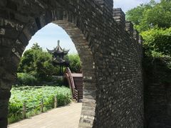 -朴园