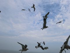 -仁川港国际客运码头