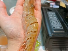 牡丹虾-松坂屋日料自助(长城路店)