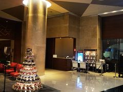 -南京禄口机场雅高铂尔曼大酒店