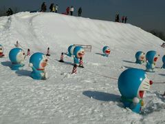 -武清南湖绿博园