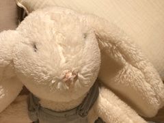 -ZARA HOME(蓝色港湾店)