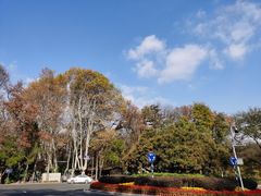 -灵谷景区