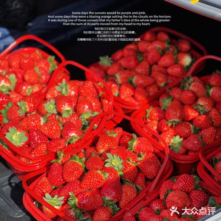 草莓🍓草莓🍓 你想我莓