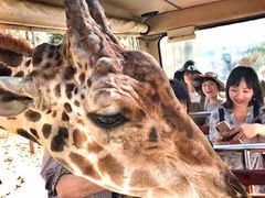 -清迈夜间动物园