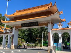 -深圳仙湖植物园