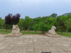 -北京十三陵国家森林公园蟒山景区
