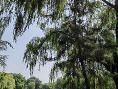 -北陵公园