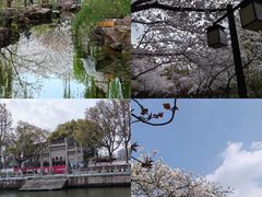 -范蠡湖公园