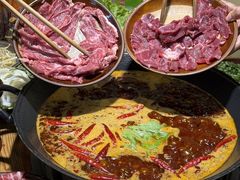 -阳阳老火锅(小南门店)