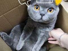 -李记牛杂店(建设一街店)