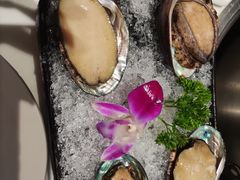 鲜活小鲍鱼-新一哥粤菜火锅(瑞金店)